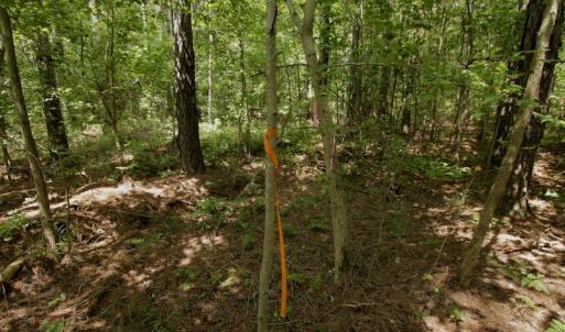 Photo #21 of SOLD property in Off Page Riddick Road, Gates, NC 10.6 acres