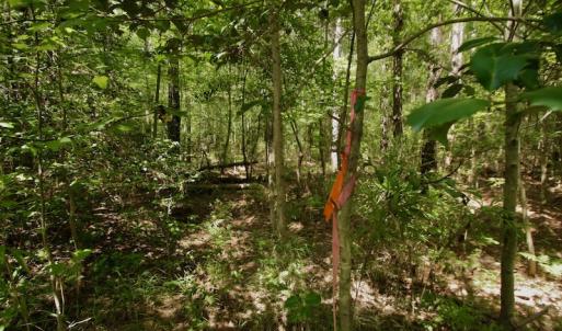 Photo #22 of SOLD property in Off Page Riddick Road, Gates, NC 10.6 acres