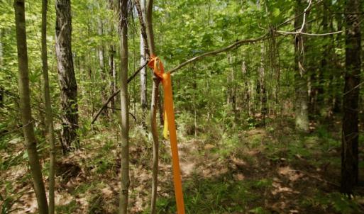 Photo #24 of SOLD property in Off Page Riddick Road, Gates, NC 10.6 acres