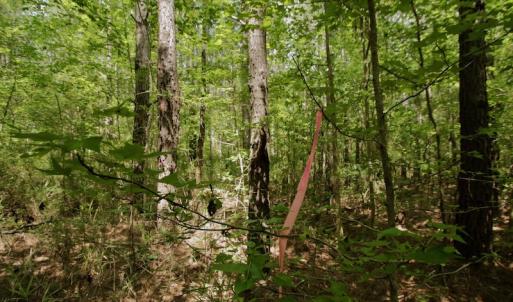 Photo #25 of SOLD property in Off Page Riddick Road, Gates, NC 10.6 acres