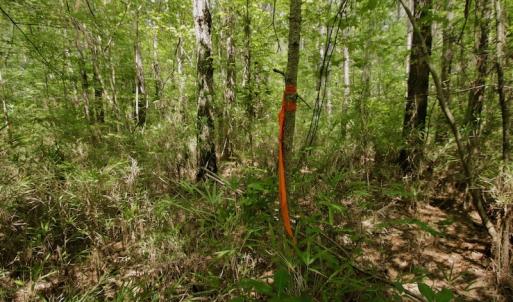 Photo #26 of SOLD property in Off Page Riddick Road, Gates, NC 10.6 acres