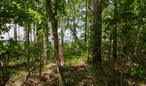 Photo #29 of SOLD property in Off Page Riddick Road, Gates, NC 10.6 acres