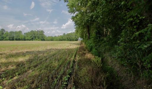 Photo #30 of SOLD property in Off Page Riddick Road, Gates, NC 10.6 acres