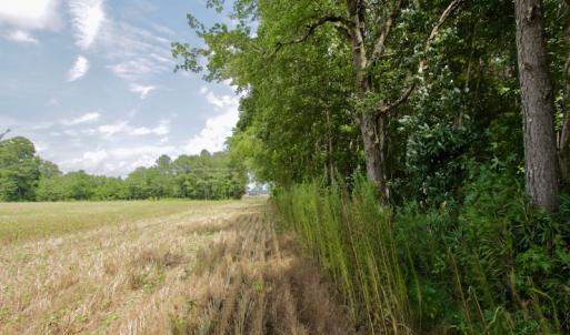 Photo #33 of SOLD property in Off Page Riddick Road, Gates, NC 10.6 acres