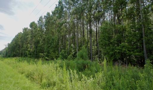 Photo #35 of SOLD property in Off Page Riddick Road, Gates, NC 10.6 acres