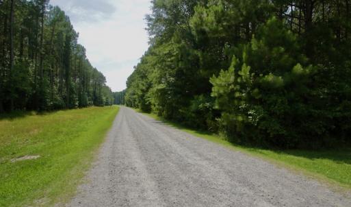 Photo #37 of SOLD property in Off Page Riddick Road, Gates, NC 10.6 acres