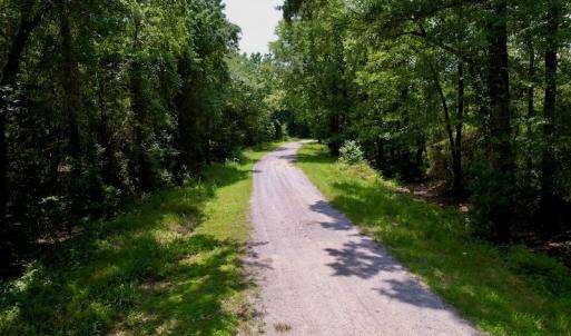 Photo #2 of SOLD property in Off Hwy 123 North, Hookerton, NC 89.0 acres