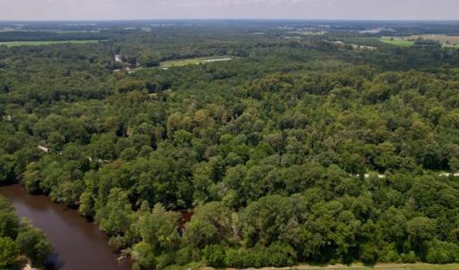 Photo #6 of SOLD property in Off Hwy 123 North, Hookerton, NC 89.0 acres