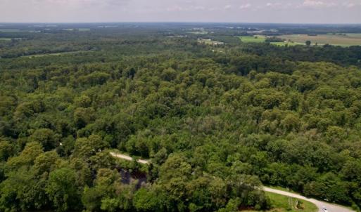 Photo #9 of SOLD property in Off Hwy 123 North, Hookerton, NC 89.0 acres