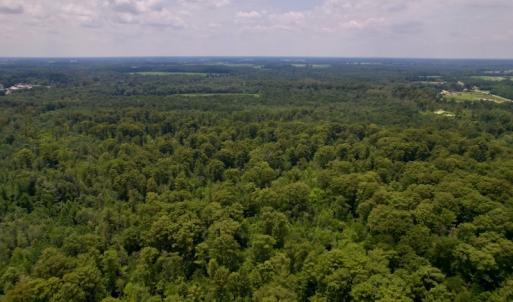 Photo #11 of SOLD property in Off Hwy 123 North, Hookerton, NC 89.0 acres