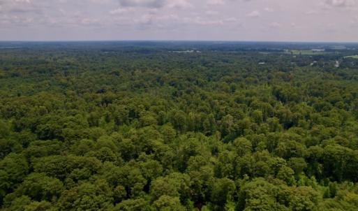 Photo #13 of SOLD property in Off Hwy 123 North, Hookerton, NC 89.0 acres