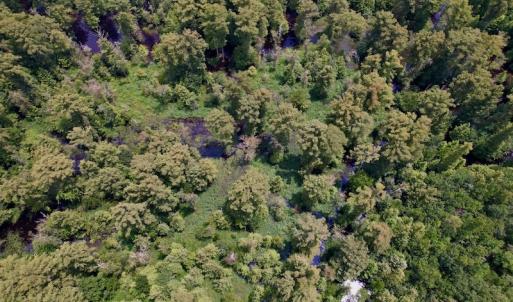 Photo #14 of SOLD property in Off Hwy 123 North, Hookerton, NC 89.0 acres