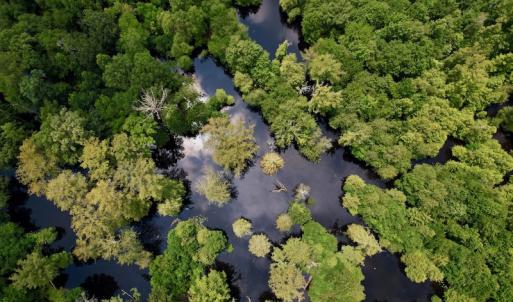 Photo #17 of SOLD property in Off Hwy 123 North, Hookerton, NC 89.0 acres