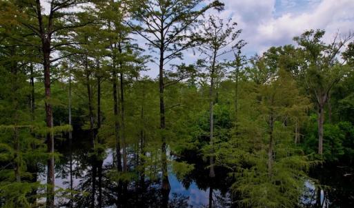 Photo #22 of SOLD property in Off Hwy 123 North, Hookerton, NC 89.0 acres