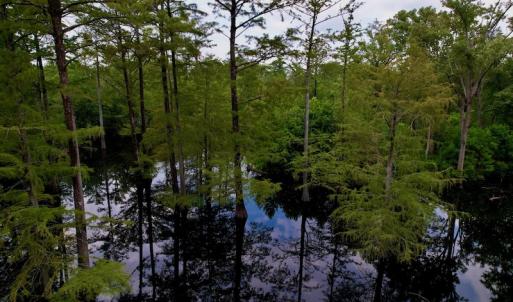 Photo #23 of SOLD property in Off Hwy 123 North, Hookerton, NC 89.0 acres