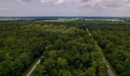 Photo #24 of SOLD property in Off Hwy 123 North, Hookerton, NC 89.0 acres