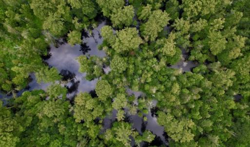 Photo #27 of SOLD property in Off Hwy 123 North, Hookerton, NC 89.0 acres