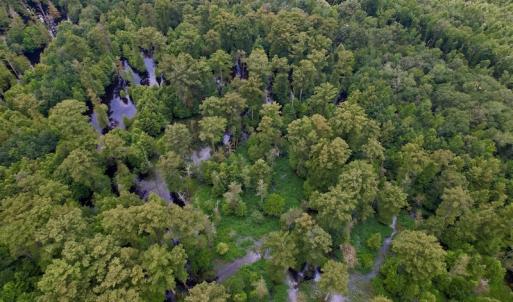 Photo #28 of SOLD property in Off Hwy 123 North, Hookerton, NC 89.0 acres