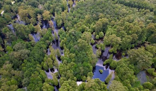 Photo #29 of SOLD property in Off Hwy 123 North, Hookerton, NC 89.0 acres
