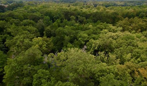 Photo #30 of SOLD property in Off Hwy 123 North, Hookerton, NC 89.0 acres