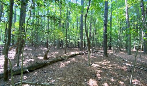 Photo #2 of SOLD property in Off Green Pasture Lane, Carrollton, VA 6.0 acres