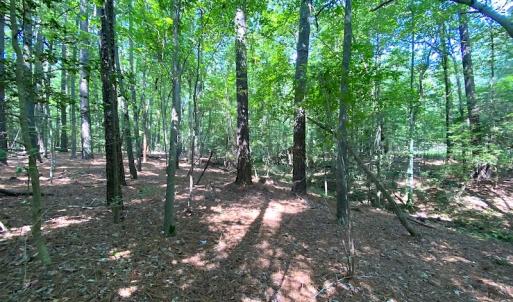 Photo #3 of SOLD property in Off Green Pasture Lane, Carrollton, VA 6.0 acres