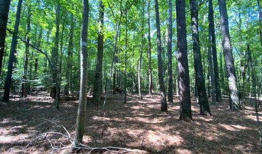 Photo #4 of SOLD property in Off Green Pasture Lane, Carrollton, VA 6.0 acres