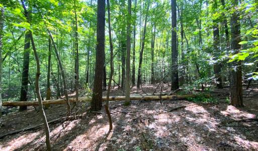 Photo #6 of SOLD property in Off Green Pasture Lane, Carrollton, VA 6.0 acres