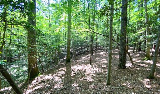 Photo #10 of SOLD property in Off Green Pasture Lane, Carrollton, VA 6.0 acres