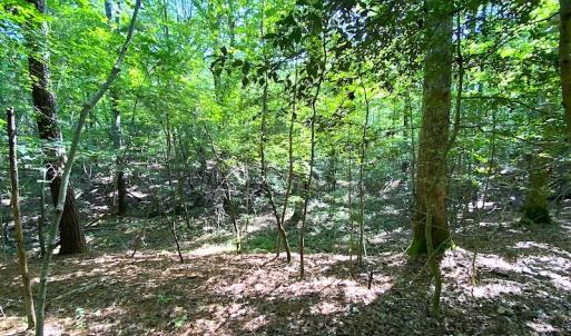 Photo #11 of SOLD property in Off Green Pasture Lane, Carrollton, VA 6.0 acres