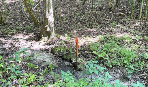 Photo #12 of SOLD property in Off Green Pasture Lane, Carrollton, VA 6.0 acres