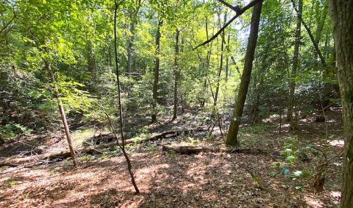 Photo #13 of SOLD property in Off Green Pasture Lane, Carrollton, VA 6.0 acres
