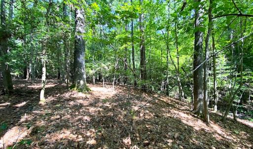 Photo #14 of SOLD property in Off Green Pasture Lane, Carrollton, VA 6.0 acres