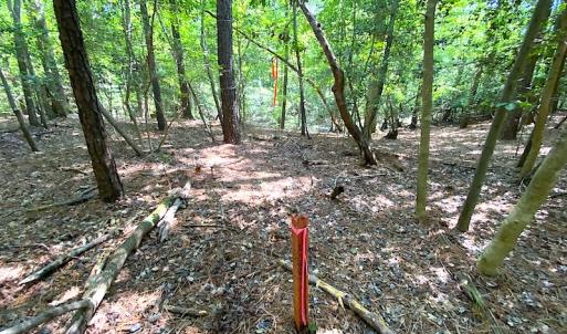 Photo #15 of SOLD property in Off Green Pasture Lane, Carrollton, VA 6.0 acres