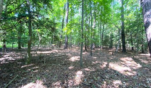 Photo #16 of SOLD property in Off Green Pasture Lane, Carrollton, VA 6.0 acres