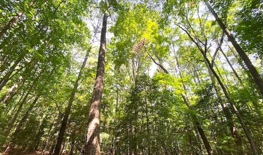 Photo #17 of SOLD property in Off Green Pasture Lane, Carrollton, VA 6.0 acres