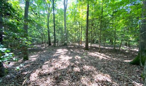 Photo #18 of SOLD property in Off Green Pasture Lane, Carrollton, VA 6.0 acres