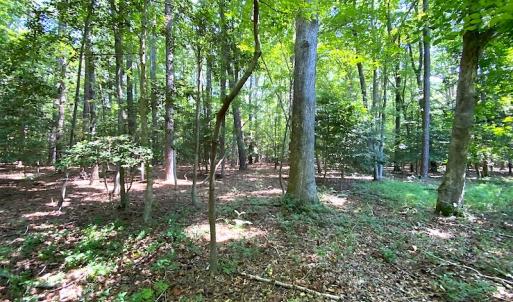 Photo #19 of SOLD property in Off Green Pasture Lane, Carrollton, VA 6.0 acres