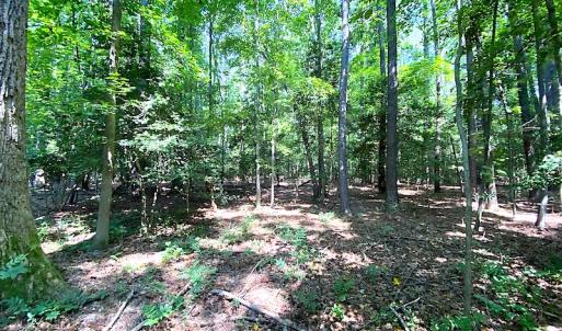 Photo #21 of SOLD property in Off Green Pasture Lane, Carrollton, VA 6.0 acres