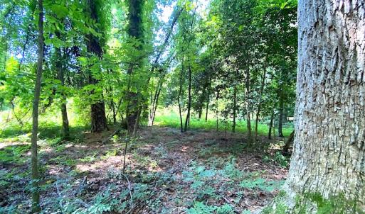 Photo #22 of SOLD property in Off Green Pasture Lane, Carrollton, VA 6.0 acres