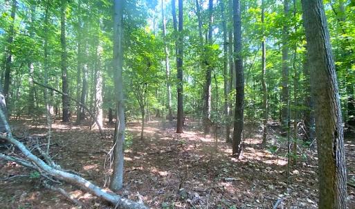 Photo #23 of SOLD property in Off Green Pasture Lane, Carrollton, VA 6.0 acres