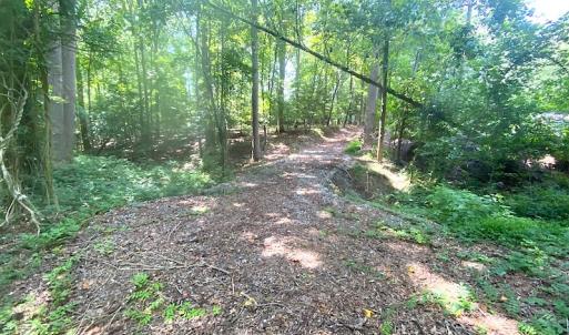 Photo #24 of SOLD property in Off Green Pasture Lane, Carrollton, VA 6.0 acres