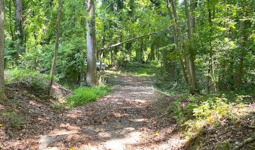 Photo #27 of SOLD property in Off Green Pasture Lane, Carrollton, VA 6.0 acres