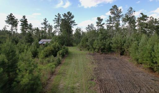 Photo #2 of SOLD property in Off Old Dothan Road, Tabor City, NC 20.9 acres