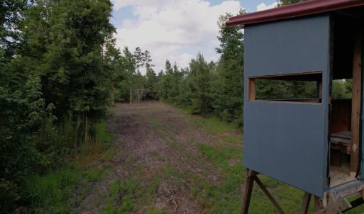Photo #10 of SOLD property in Off Old Dothan Road, Tabor City, NC 20.9 acres