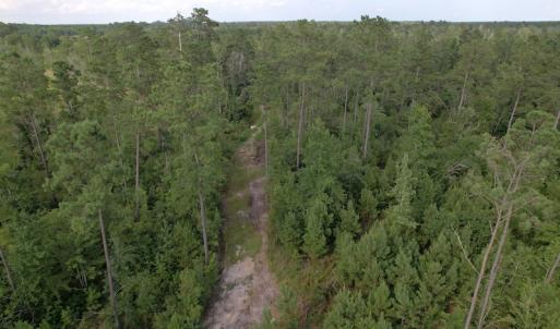 Photo #12 of SOLD property in Off Old Dothan Road, Tabor City, NC 20.9 acres