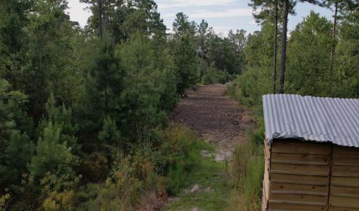Photo #13 of SOLD property in Off Old Dothan Road, Tabor City, NC 20.9 acres
