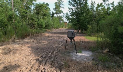 Photo #14 of SOLD property in Off Old Dothan Road, Tabor City, NC 20.9 acres
