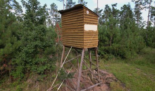 Photo #15 of SOLD property in Off Old Dothan Road, Tabor City, NC 20.9 acres