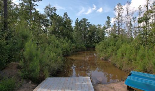 Photo #16 of SOLD property in Off Old Dothan Road, Tabor City, NC 20.9 acres